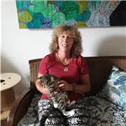 Professeur de français du CP à la 3ème